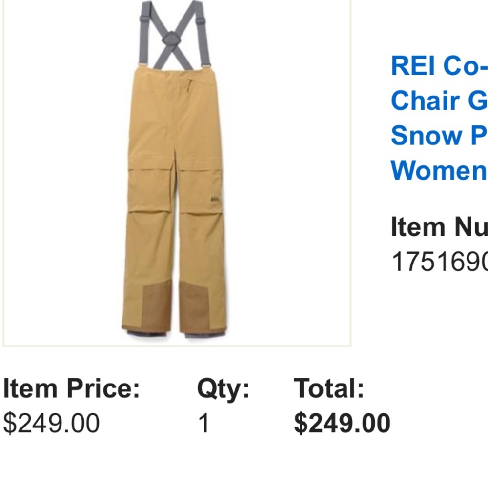 REI First Chair GTX Bib Snow Pants - Women's